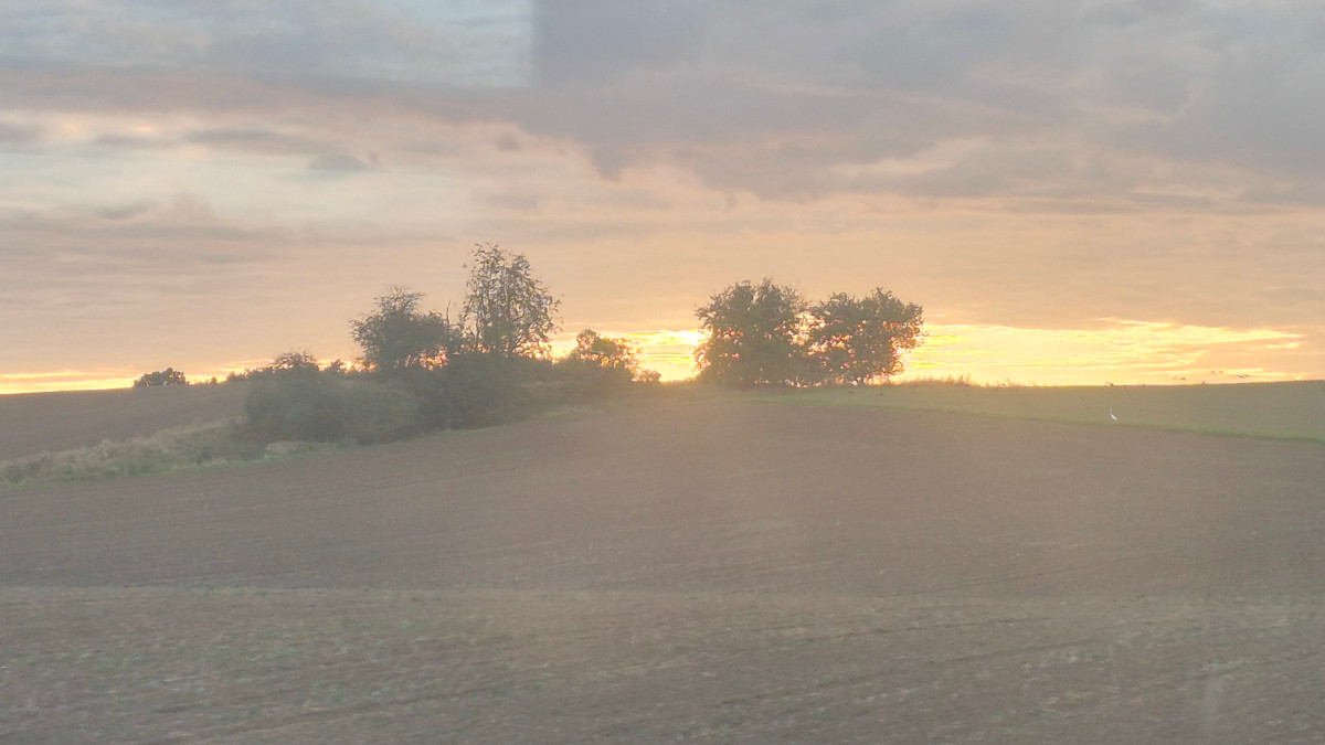 Piątkowa podróż pociągiem