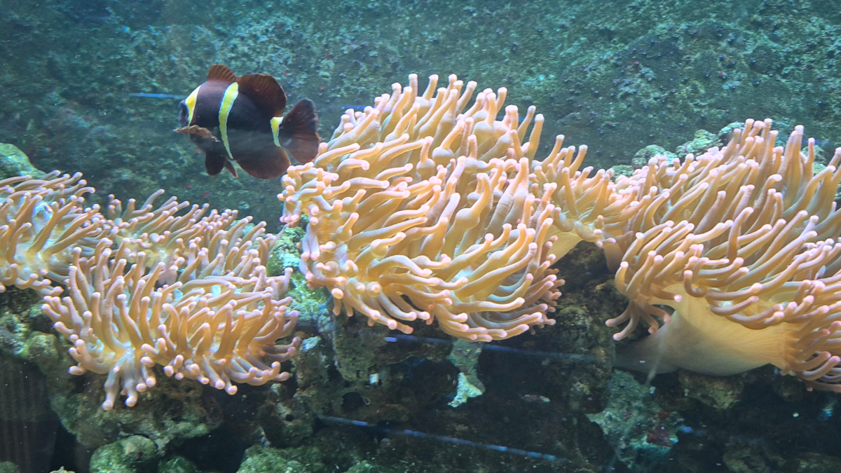 Wycieczka do Starego Zoo w Poznaniu