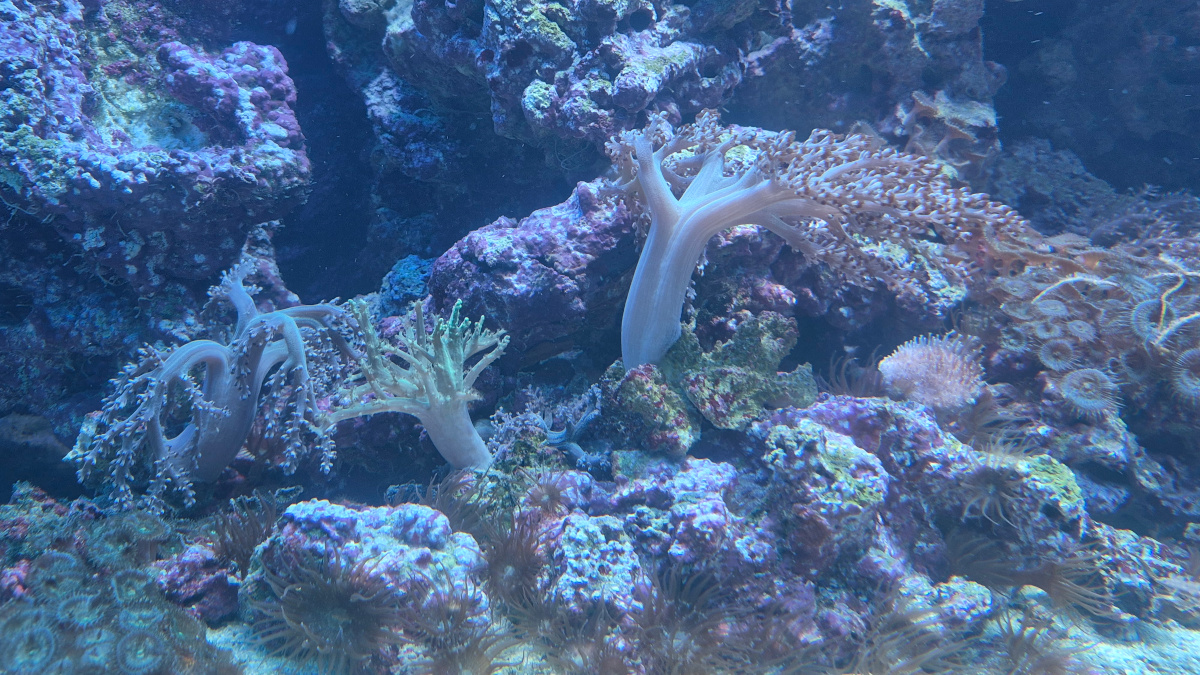 Wycieczka do Starego Zoo w Poznaniu