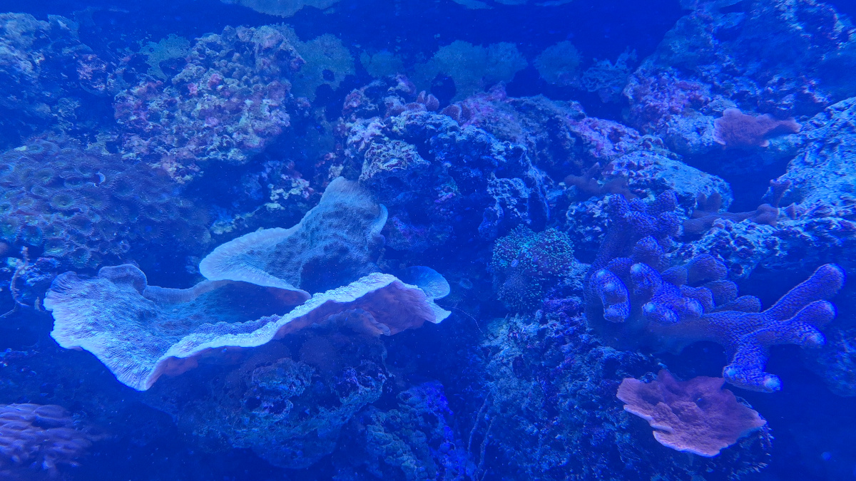 Wycieczka do Starego Zoo w Poznaniu