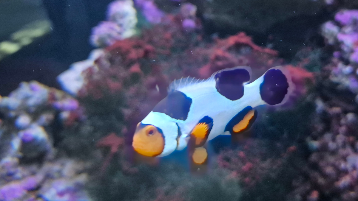 Wycieczka do Starego Zoo w Poznaniu