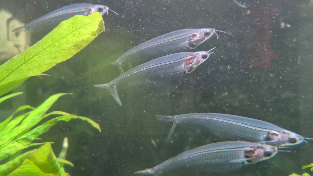 Wycieczka do Starego Zoo w Poznaniu