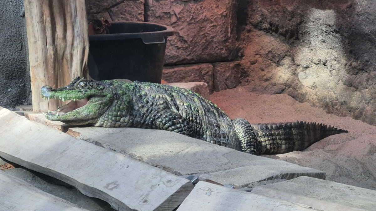 Wycieczka do Starego Zoo w Poznaniu
