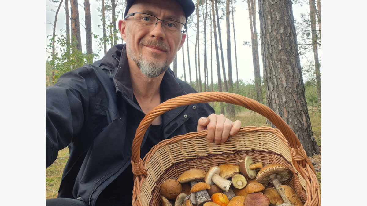 Szybkie grzybobranie